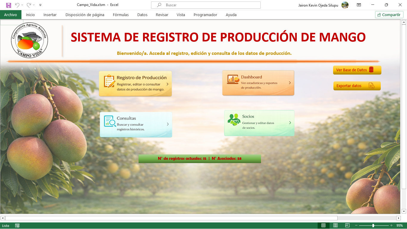 Pantalla de inicio del sistema en Excel